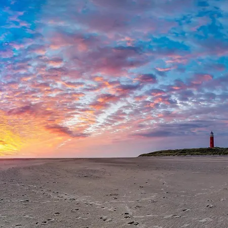 In De Koog Near The Sea Westermient