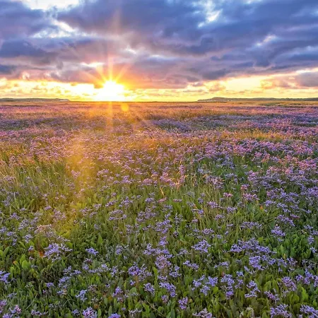 In De Koog Near The Sea Casa de Férias *