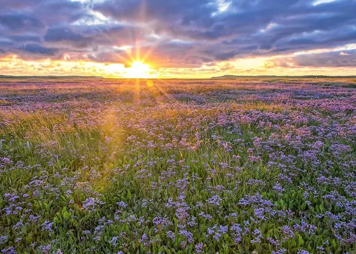 In De Koog Near The Sea Дом отдыха *