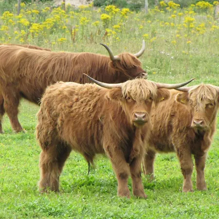 In De Koog Near The Sea Prázdninový dům Westermient